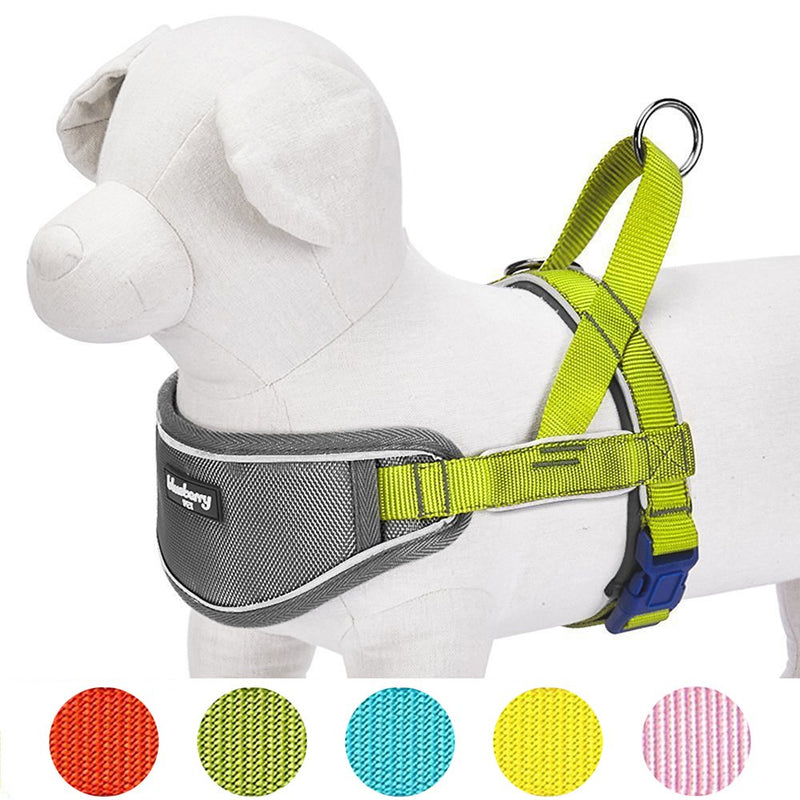 [Australia] - Blueberry Pet 8 Colors Soft & Comfortable 3M Reflective Strips Nylon Neoprene Padded Training Dog Harness (24.5" - 29.5") Chest Girth Citrus Lime 