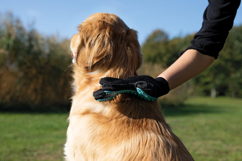 Trixie 23393 grooming glove, 16 × 24 cm, black/turquoise - PawsPlanet Australia