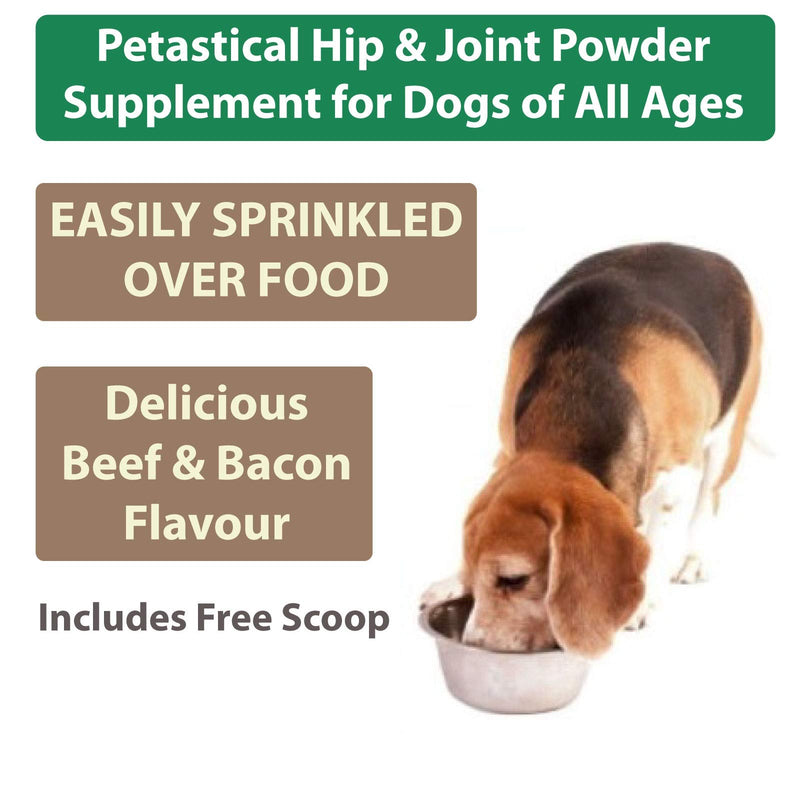 Petastical Dog Hip Joint Care Supplements, 800mg Glucosamine, 400mg Chondroitin, 400mg MSM with Added Turmeric, 120 Powder Scoops, Made In USA - PawsPlanet Australia