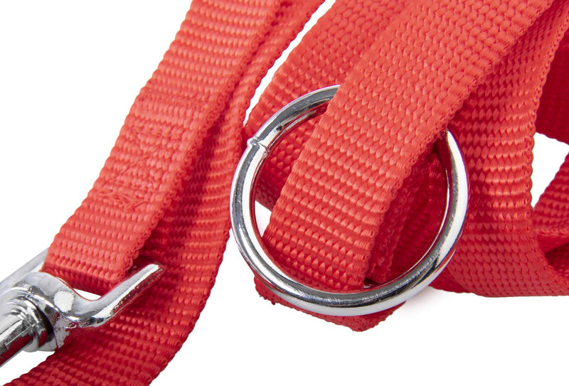 heim 505284 Dog Lead Nylon 200 cm Red - PawsPlanet Australia