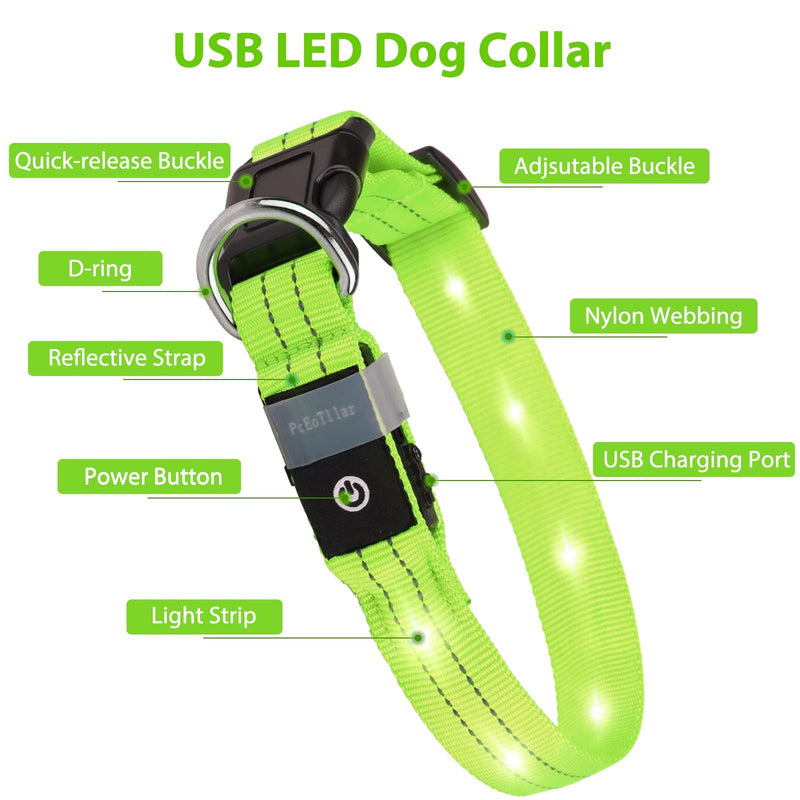 Dog Collar Luminous Collar Waterproof Light Up LED Dog Collar USB Rechargeable Flashing Reflective Dog Collars Adjustable Super Bright for Large Medium Small Dogs Green M M (38-50 cm, 2.5 cm) - PawsPlanet Australia