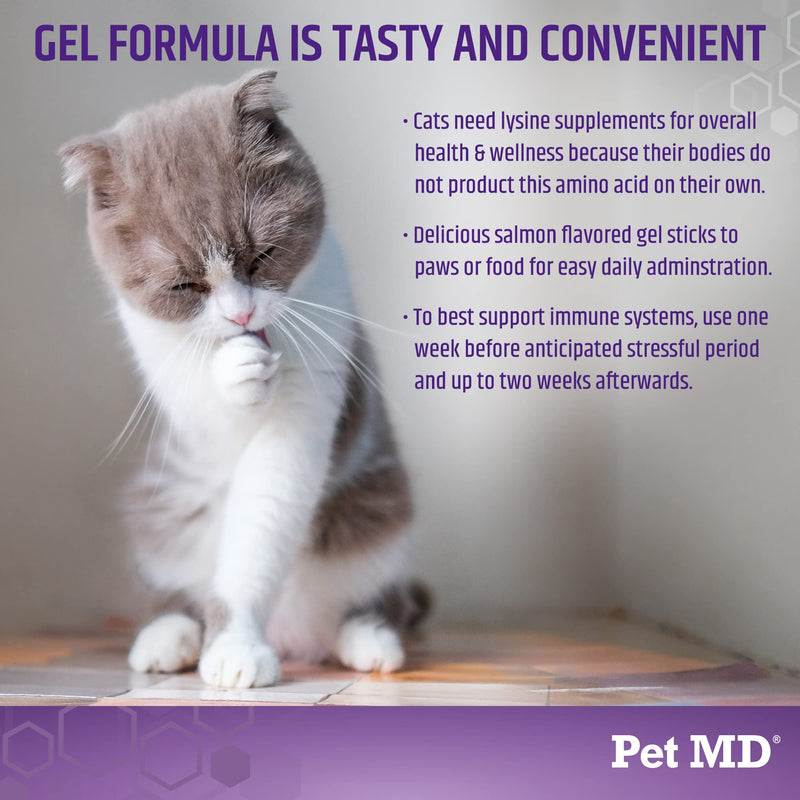 Pet MD Lysine Gel for Cats, L Lysine, Support for Cats with Allergies and Immune Deficiency, Elemental Support, Pet Supplies, Food Supplement, Salmon Flavor, 50ml - PawsPlanet Australia