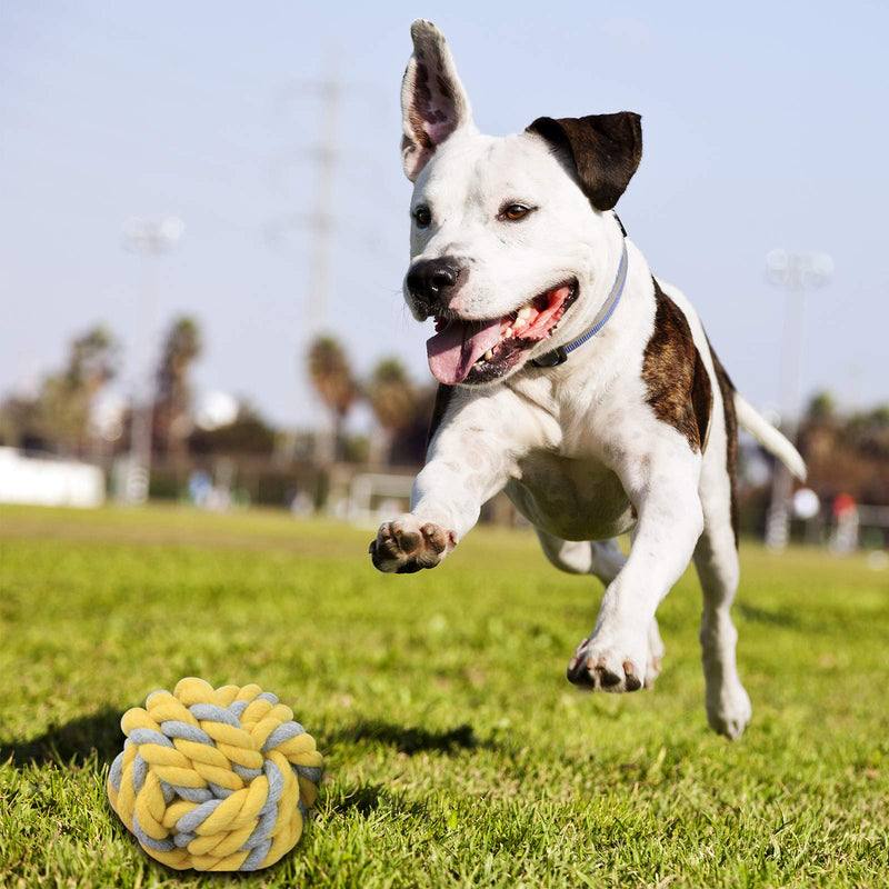 Puppy Rope Toys Washable Puppy Chew Toys Ropes Balls Interactive Toy Durable Dog Toy Ball 2.37" Diameter - PawsPlanet Australia