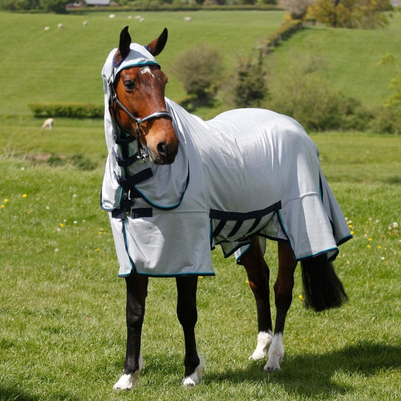 Masta Combo Fly Rug for Horses Equestrian Blanket Silver Lightweight Belly Wrap Bug Protection Summer Sheet | Wide Size range 4FT6-7FT6 6FT - PawsPlanet Australia