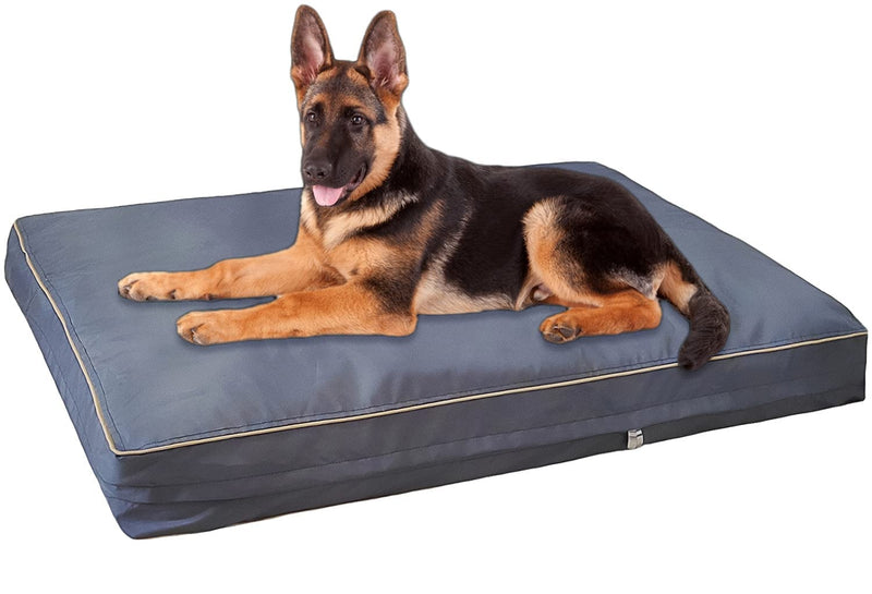 Dalema Dog Bed Cover 36" L x 27" W x 4" H.Waterproof Fillable 600D Oxford Dog Bed Replacement Cover.Washable and Removable Orthopedi,Cooling Gel and Memory Foam Pet Bed Protector Cover.Cover Only. - PawsPlanet Australia