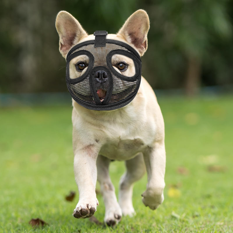 Bpawser Short Snout Dog Muzzles Adjustable Breathable Mesh Bulldog Muzzle for Biting Chewing Barking Training Dog Mask Black (L) L - PawsPlanet Australia