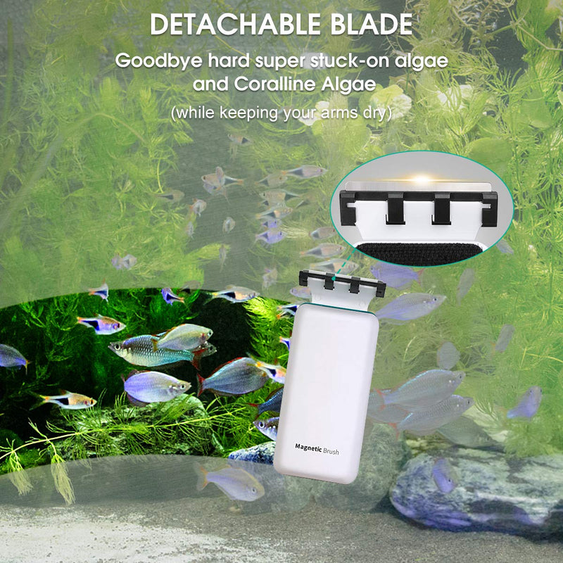KEDSUM Magnetic Aquarium Tank Algae Scrapers, 2-in-1 Fish Tank Glass Cleaner, Floating Scrubber Clean Brush with 2 Blades [Scratch-Free, Non-Slip, Magnetizing] XL - PawsPlanet Australia