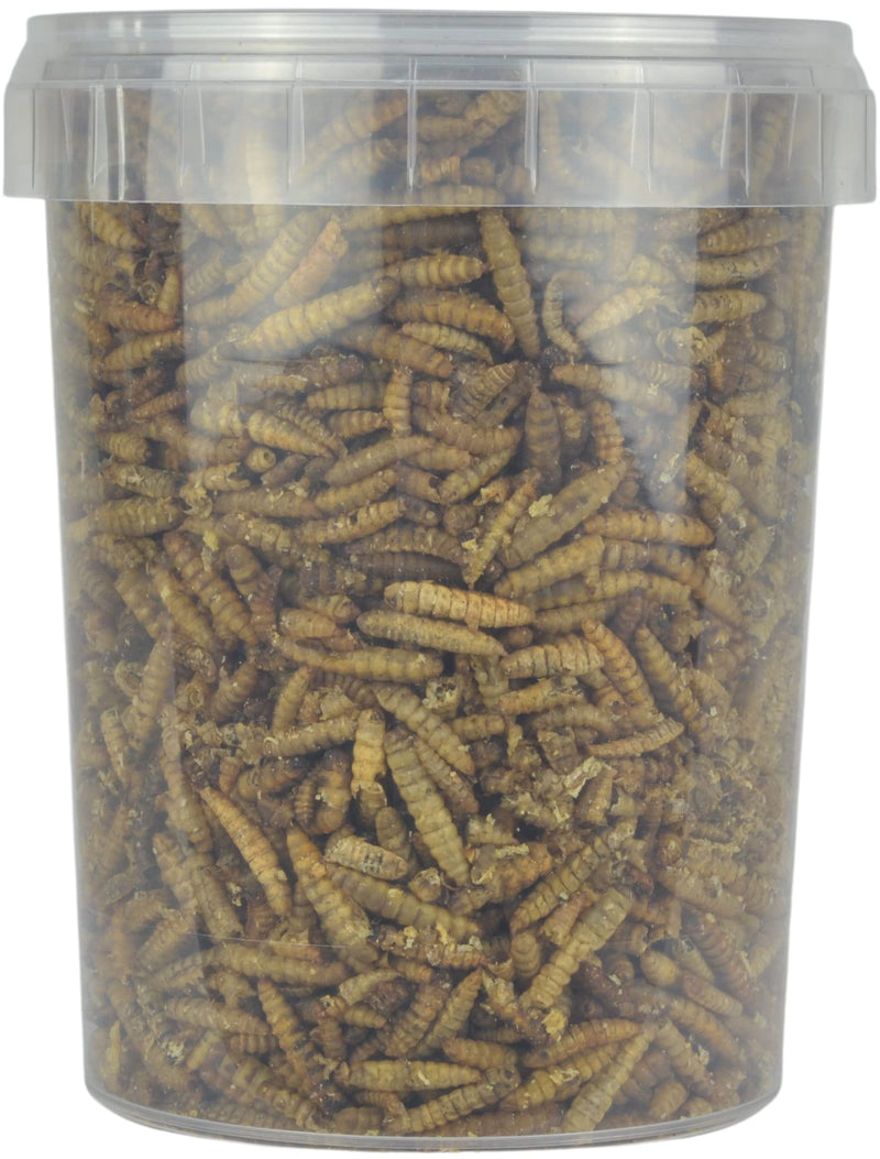 Supa Dried Calci Worms for Wild Birds, 1 Litre Bucket, High Energy Protein Rich Treat For Garden Birds, Attract More Birds To Your Garden, Quality Wild Bird Food - PawsPlanet Australia