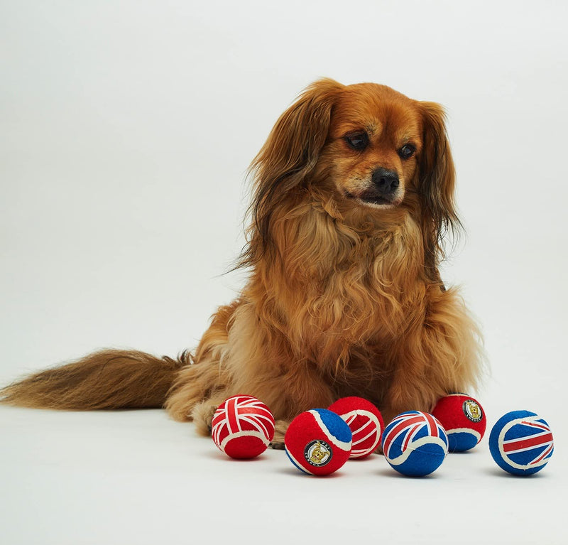 PetLondon Dog Tennis Balls 3pack, Dog Ball Bouncy Union Jack, London United Kingdom Tennis Balls, Premium British Tennis Balls For Small and Medium Dog and Puppies - PawsPlanet Australia