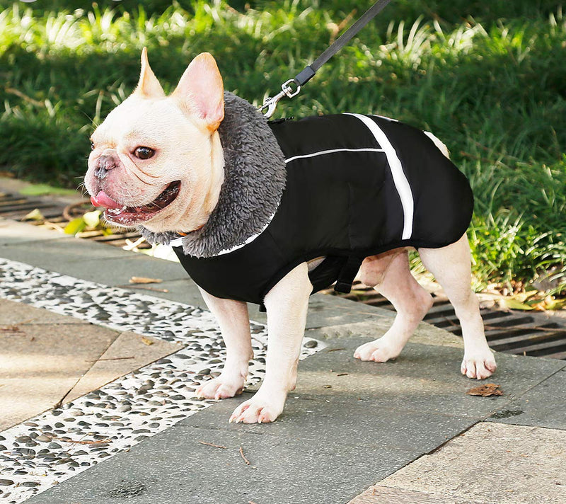 Komate Waterproof Dog Jacket Coat Winter Puppy Warm Jacket Vest Safty Reflective for Small Medium Large Dogs Windproof Suit Cold Weather Clothes (S (Chest 30 to 50cm), Black) S (Chest 30 to 50cm) - PawsPlanet Australia