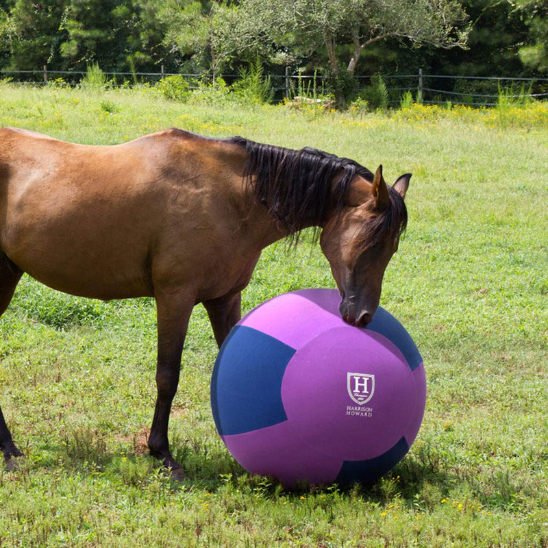 Harrison Howard Howdy Bally Horse Mega Ball Cover for Equine 40-Inch Purple/Blue Fits-(40inch /100cm) ball - PawsPlanet Australia