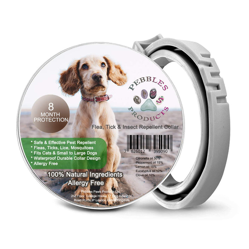 Dog Flea Collar for Flea and Tick Treatment and Prevention for Dogs 8 Month Essential Oil Flea Collar Protection Safe and Allergy Free - PawsPlanet Australia