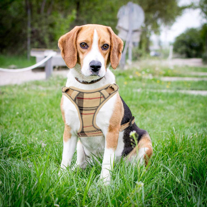 [Australia] - KOOLTAIL Soft Mesh Puppy Harness with Leash Set - Adjustable Padded Dog Harness No Pull Easy Put on & Off Vest for Small Dogs Puppies Cats Kittens Outdoor Walking 