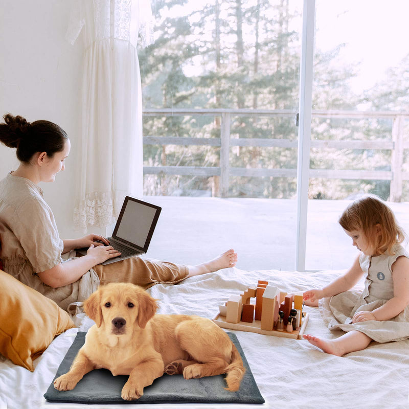 MARUNDA Pet Heating Pad,Cat Dog Electric Pet Heating Pad Indoor Waterproof, Constant Temperature, Chew Resistant Steel Cord 12" x 15" Manual Control - PawsPlanet Australia
