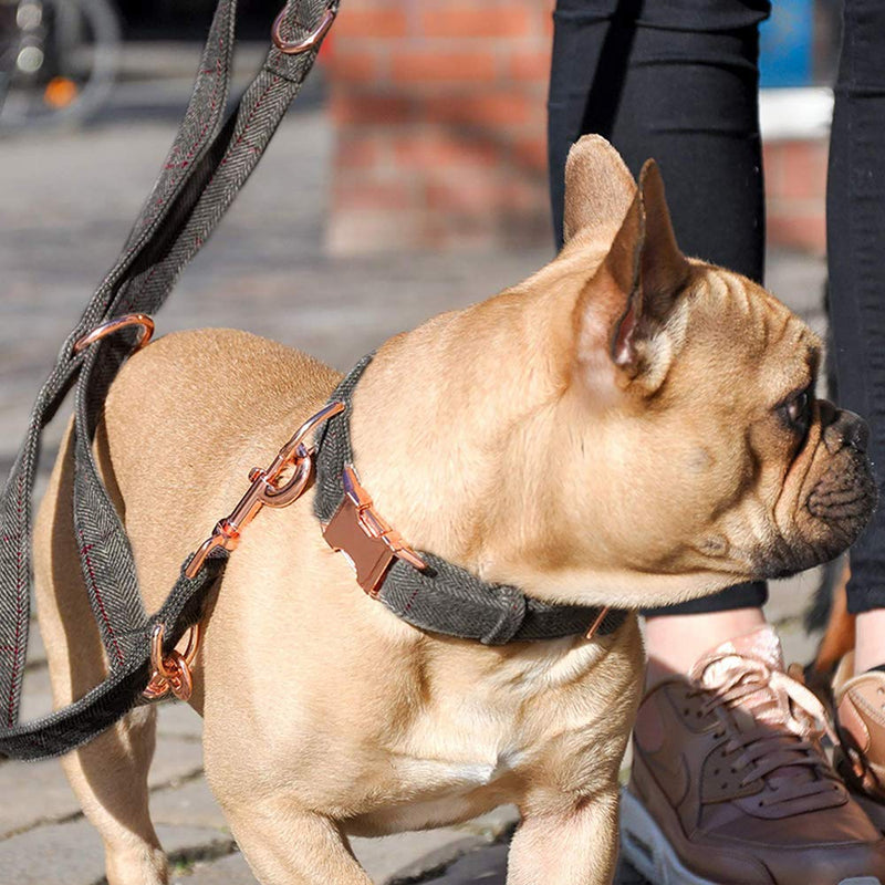 [Australia] - Medium-Large Big-Female Heavy-Duty Dog-Collar Leash-Set - Rose Gold 6 Foot Exceptionally Elegant Design and Adjustable in 3 Different Lengths for Medium to Large Dogs M ( 13.8''-19.7'' ) Grey 