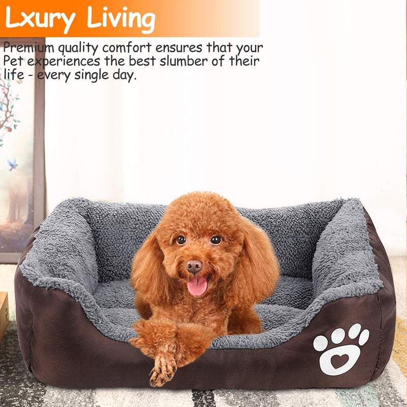 [Australia] - Pet Deluxe Dog Bed, Super Soft Pet Sofa Cats Bed, Non Slip Bottom Pet Lounger,Self Warming and Breathable Pet Bed Premium Bedding Medium: 25.98" x 19.68" Coffee 