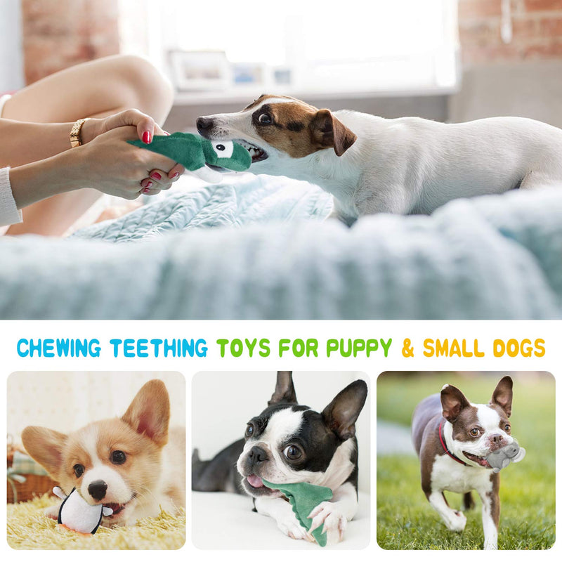 LEGEND SANDY Squeaky puppy toy, suitable for small and medium dogs, filled with loose puppy toys, equipped with 12 plush dog toy sets, suitable for puppy teething. - PawsPlanet Australia
