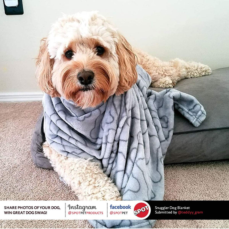 Snuggler Blanket : Ultra Soft Plush - Attractive, Durable, Cozy, Washable by Spot Bones Print 30x40 - PawsPlanet Australia