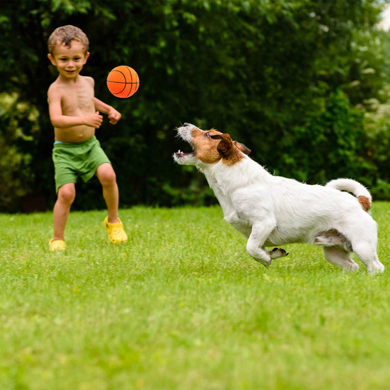 6 Pieces Pet Toy Balls Squeaky Light Balls Non-Toxic Chewing Bounce Toys Balls for Puppy Small Medium Dogs Pet - PawsPlanet Australia