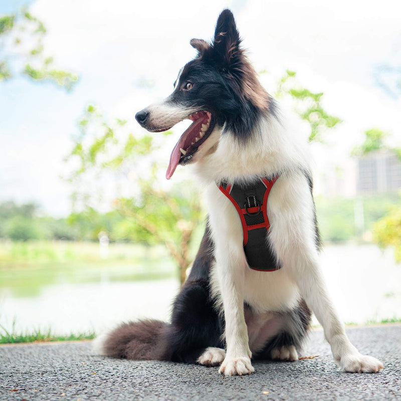 PHOEPET Upgraded No Pull Dog Harness, Reflective Adjustable Vest, with a Training Handle + 2 Metal Leash Hooks+ 3 Snap Buckles +4 Slide Buckles Black Size: L - PawsPlanet Australia