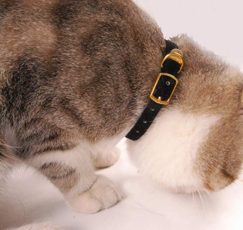 [Australia] - Soft Light Stylish Adjustable Pet Collar Blue Red Pink or Black Colors Cat or Dog Midnight 