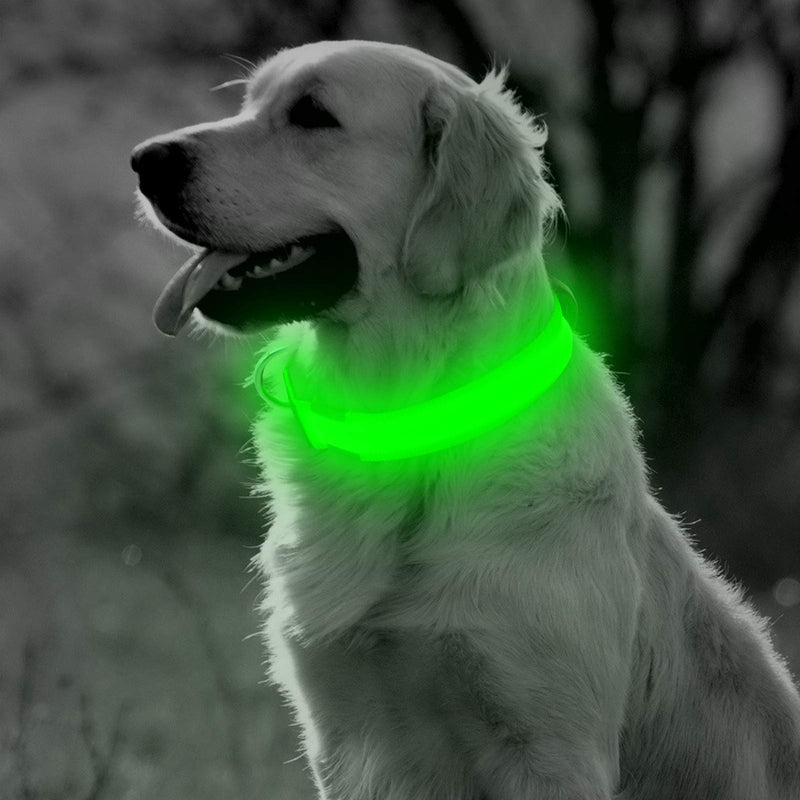 [Australia] - BSEEN Nylon LED Dog Collar - USB Rechargeable Adjustable Glowing Pet Collar, Light Up Puppy Collars for Nighttime Dog Walking Small Collar [15-18.9inch/38-48cm] Neon Green 