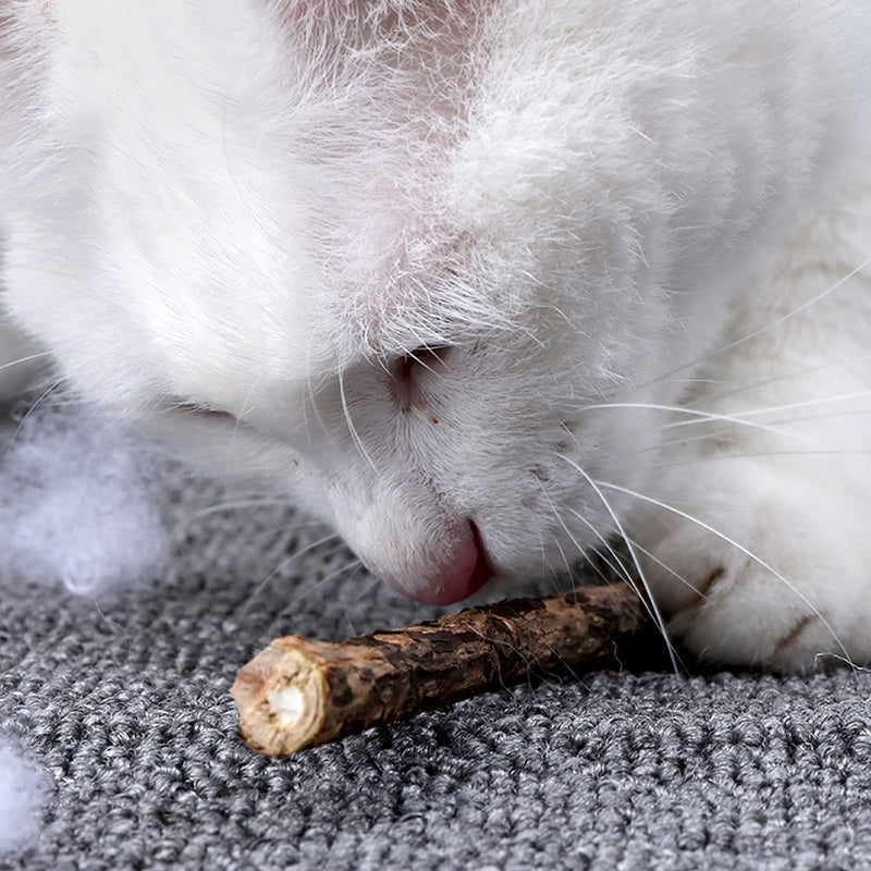 onebarleycorn Catnip Sticks for Cats, Matatabi Stick Cat Sticks Toy Matabi Cat Sticks Cat Toys for Dental Care, Pack of 20 (Pack of 1) - PawsPlanet Australia