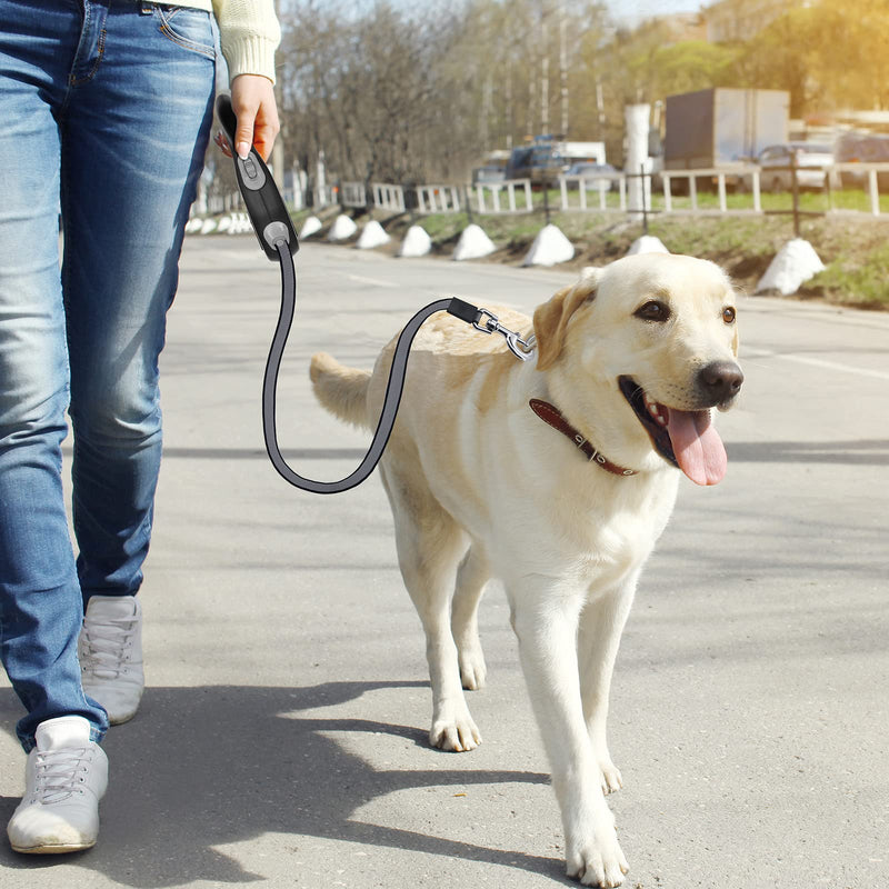 MoYouno 8M Long Retractable Dog Lead, Extendable Dog Lead, 8m, High-End Pet Lead Automatic Extendable Dog Training Lead up to 50kg for Small, Medium and Large Dogs (Grey) Purple - PawsPlanet Australia