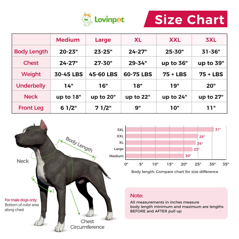 LovinPet Recovery Shirt - Full Coverage Dog's Bodysuit Wound Protective Surgical,E-Collar Alternative Recovery Snugly Suit for Abdominal Wounds After Surgery Anti-Licking Dog Onesies,Short Legs,L Large Red collar/Red - PawsPlanet Australia