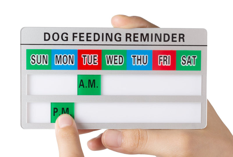 [Australia] - Kichwit Dog Feeding Reminder with Strong Magnets, Double Sided Adhesive Included, 5.4" x 3", Silver 