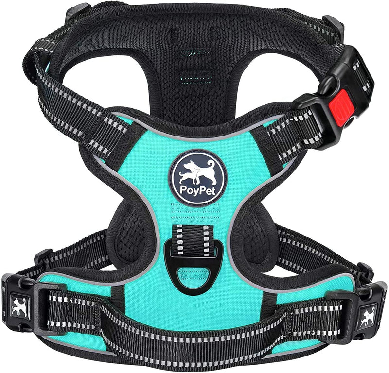PoyPet No Pull Dog Harness Front Reflective Pet Vest for Dogs with Easy Control Handle and Back Perfect for Daily Training, Walking, Running (Mint Blue, M) M (Pack of 1) Mint Blue - PawsPlanet Australia