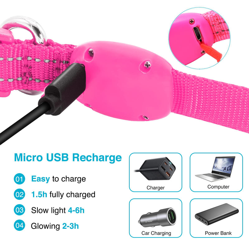 KOSKILL Luminous Dog Collar Rechargeable USB LED Dog Collar Waterproof Luminous Dog Collar Adjustable Super Bright for Small Dogs (Pink, S) Pink S - PawsPlanet Australia