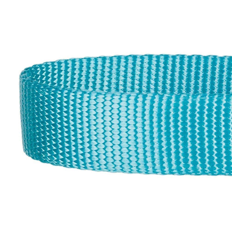 [Australia] - Blueberry Pet Essentials 22 Colors Classic Solid Color Collection - Regular Collars, Martingale Collars, Personalized Collars or Seatbelts Regular Collar - Small Turquoise 