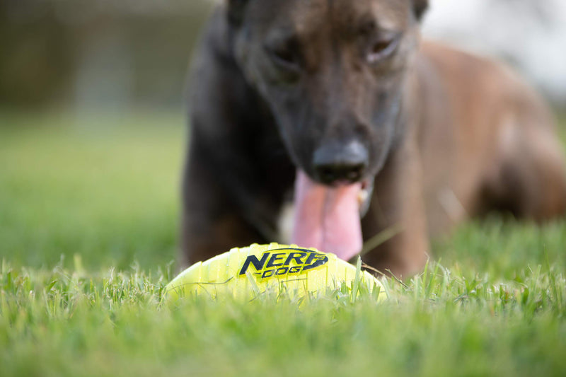 Nerf Dog Squeak Rubber Football Dog Toy Green Single - PawsPlanet Australia