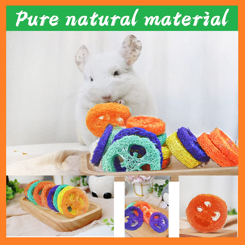 Epessa 20pcs Loofah Toys, Rabbit Chew Toys for Dental Health, Natural Handmade Material Small Animal Toys for Guinea Pig Hamster Rabbit Rat - PawsPlanet Australia