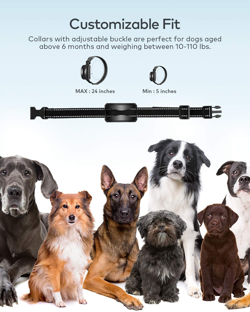 [Australia] - PETDIARY Dog Training Collar, Shock Collar for Dogs with Remote Range Up to 2000ft, Rechargeable and Vibration, Beep, and Shock Modes for Small and Medium Large Dogs, Belt-Clip A-with 2 receivers 