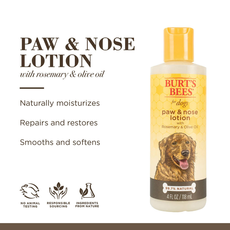 Burt's Bees for Pets for Dogs All-Natural Paw & Nose Lotion with Rosemary & Olive Oil | For All Dogs and Puppies, 4oz, All-Natural Paw & Nose Lotion with Rosemary & Olive Oil | Best Treatment for All Dogs and Puppies With Dry Nose and Paws 1-Pack - PawsPlanet Australia
