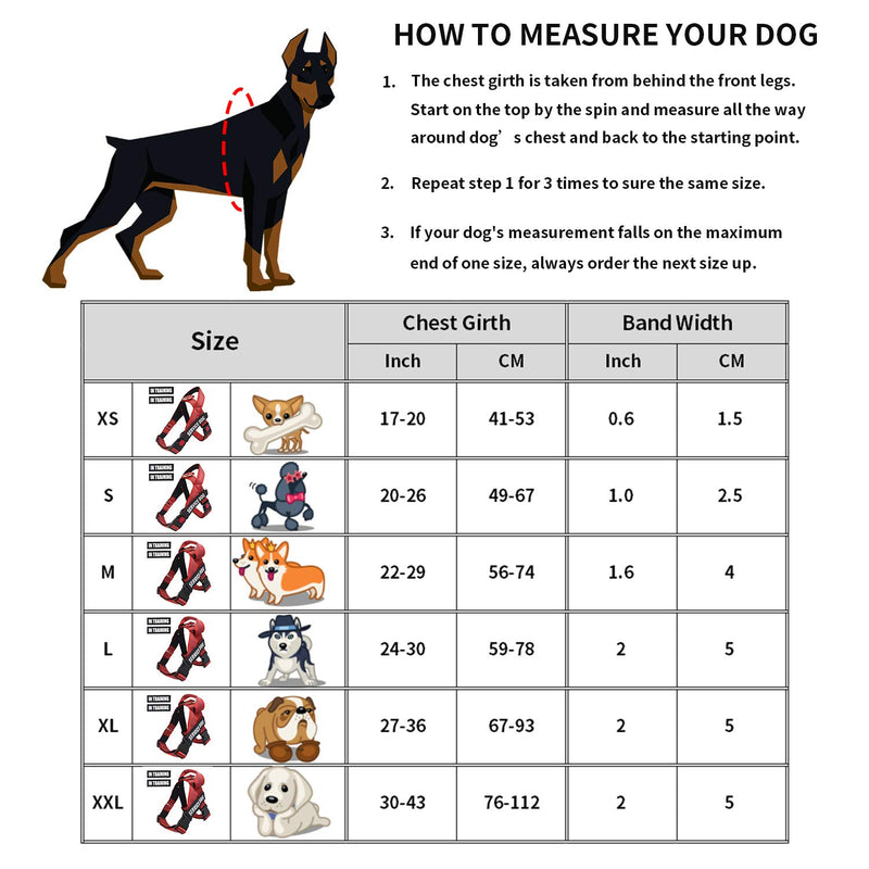 [Australia] - Dihapet Service Dog Vest Harness with Handle, Lightweight Full Adjustable Dog Vest, Neoprene Padded Soft for Summer Outdoor Walk Training L Chest 24-30in Red 