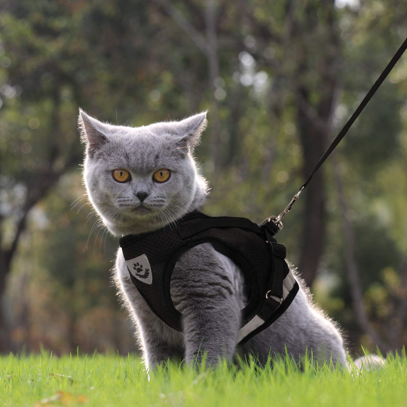 [Australia] - Lenlorry Escape Proof Cat Harness with Leash Collar Set Reflective Adjustable Soft Mesh Step-in Walking Vest Harness for Small Medium Large Cat Dog Rabbit Outdoor Walking XS 