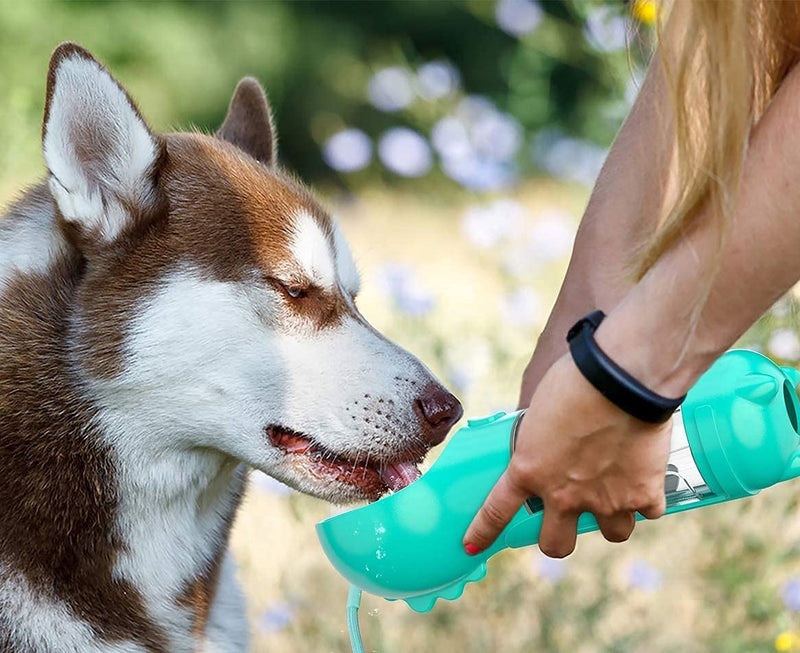 Tealuv Pet Water Bottle for Dogs & Cats, Portable Pet Water Bottle, Dog and Cat Travel Water Bottle, Dog and cat Water Dispenser, Lightweight & Convenient pet Water Bottle for Travel Blue - PawsPlanet Australia