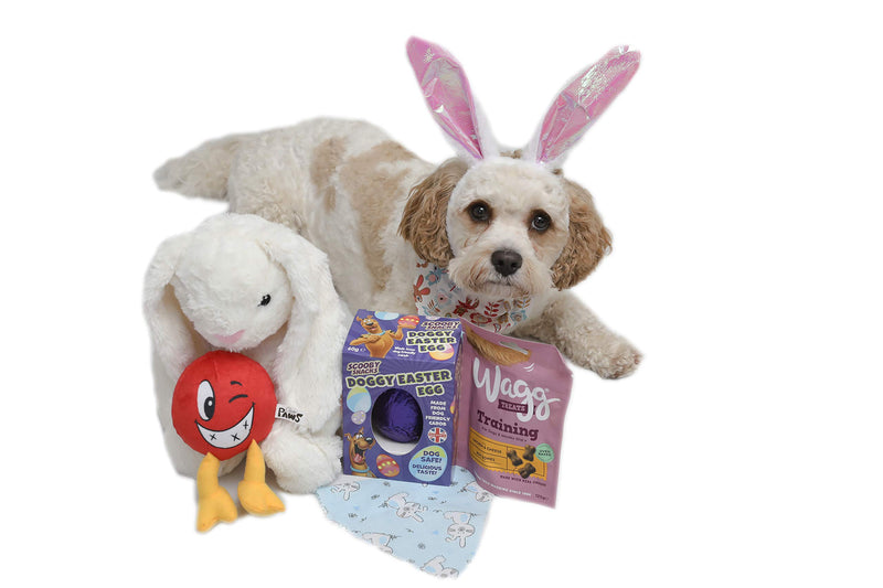 Bunny Gift Box For Dogs | Bunny Dog Hamper | Dog Gift Box | Dog Box | Dog Gift Set | Dog Plush Toy | Bunny Bandana | - PawsPlanet Australia