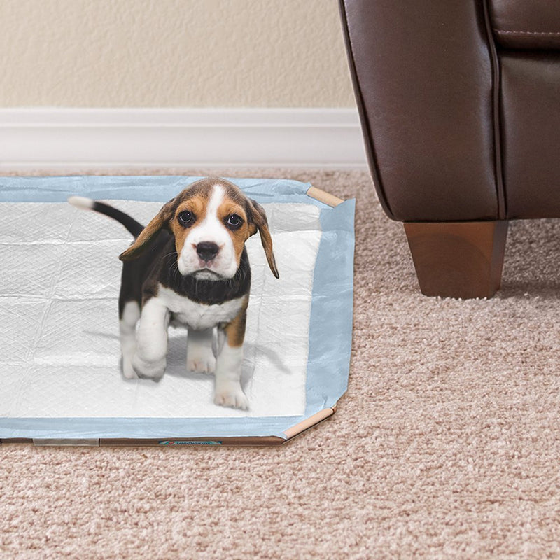 Simple Solution Dog Pad Holder | Portable Tray for Pet Training and Puppy Pads | Protection Against Pad Leakage, Bunching, and Shredding | Fits Pads 21 x 21 Inches or Larger Single - PawsPlanet Australia