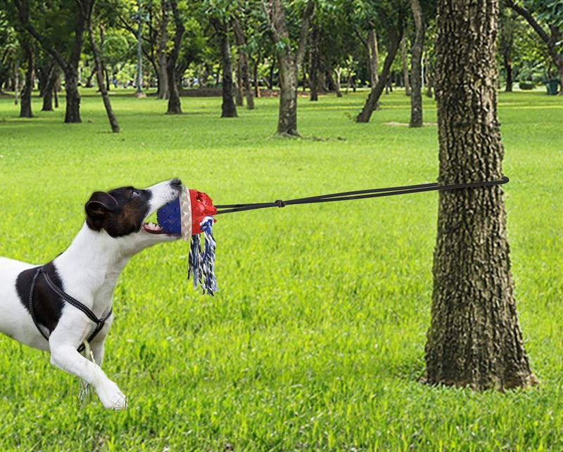 Hallwayee Dog Tie-Outs & Stakes Toys Outdoor Powerful Tether Ball Toy Chew Ball with Elastic Rope Dog Food Dispensing Toys in Yard Park Soccer Field for Medium & Large Dogs (Navy Blue) Navy Blue - PawsPlanet Australia