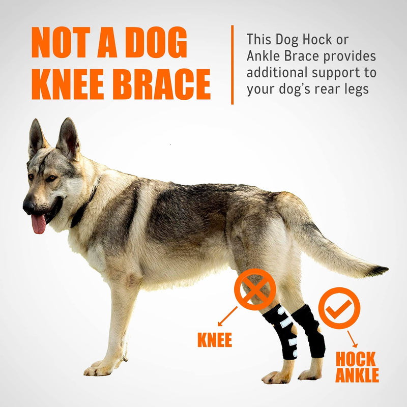 NeoAlly Dog Braces for Back Legs Super Supportive with Dual Metal Spring Strips to Stabilize and Support Dog Hind Legs, Help Dogs with Injuries Sprains Arthritis ACL CCL (X-Small Pair) X-Small - PawsPlanet Australia