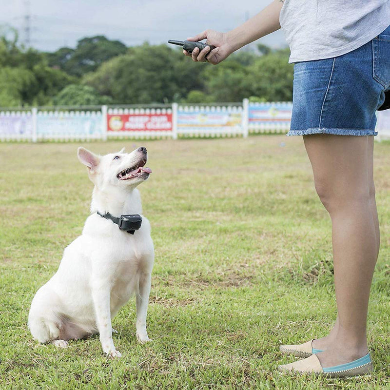 [Australia] - Pet Union PT0Z1 Premium Dog Training Shock Collar, Fully Waterproof, 1200ft Range Charcoal 