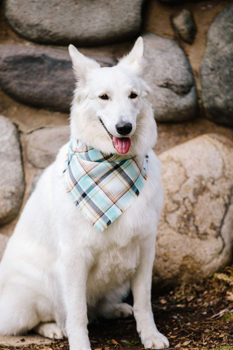 Willowear Plaid Dog Bandanas - Cotton Adjustable Tie On Scarf with Trendy Frayed Edges for Small Medium Large XLarge Dogs Puppies Pets River - PawsPlanet Australia