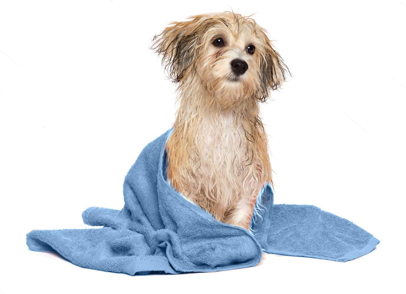 DAN RIVER 100% Cotton Dog Bath Towel|Dog Grooming Towels| Absorbent Dog Towels for Drying Dogs|Soft Towels for Dogs|Dog Drying Towel for Small, Medium, Large Dogs|Embroidered Pattern|20x40 in|450 GSM A Clean Dog Is A Happy Dog - PawsPlanet Australia