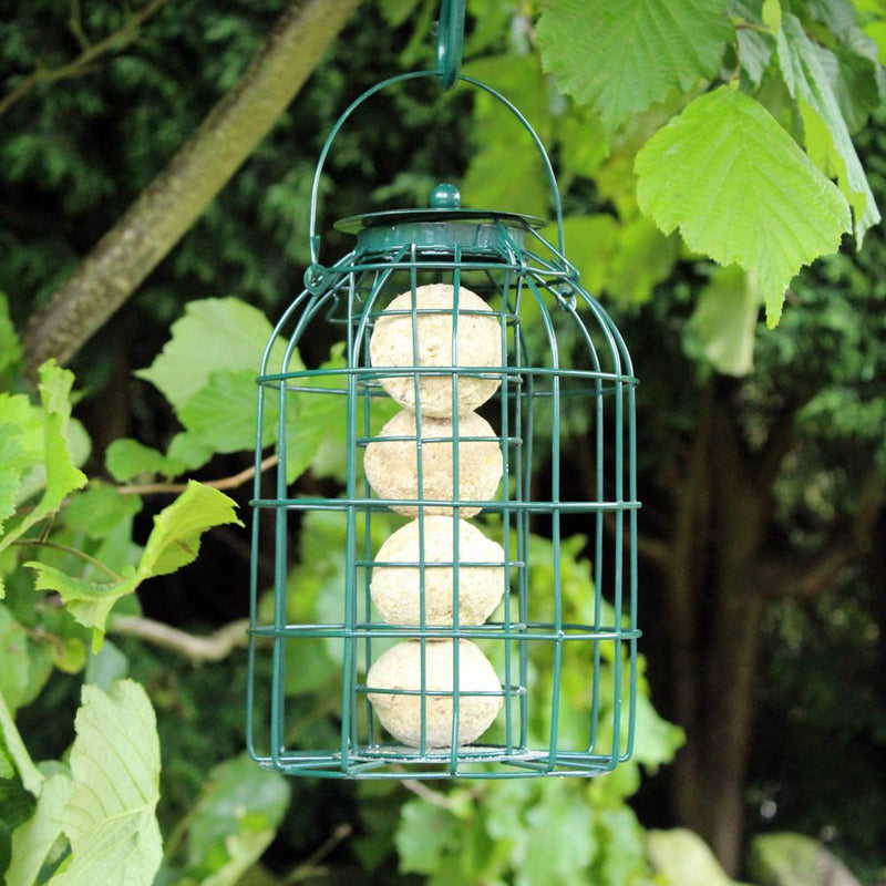 Natures Market BF008FB Squirrel Guard Hanging Fat Ball Feeder 1 - PawsPlanet Australia
