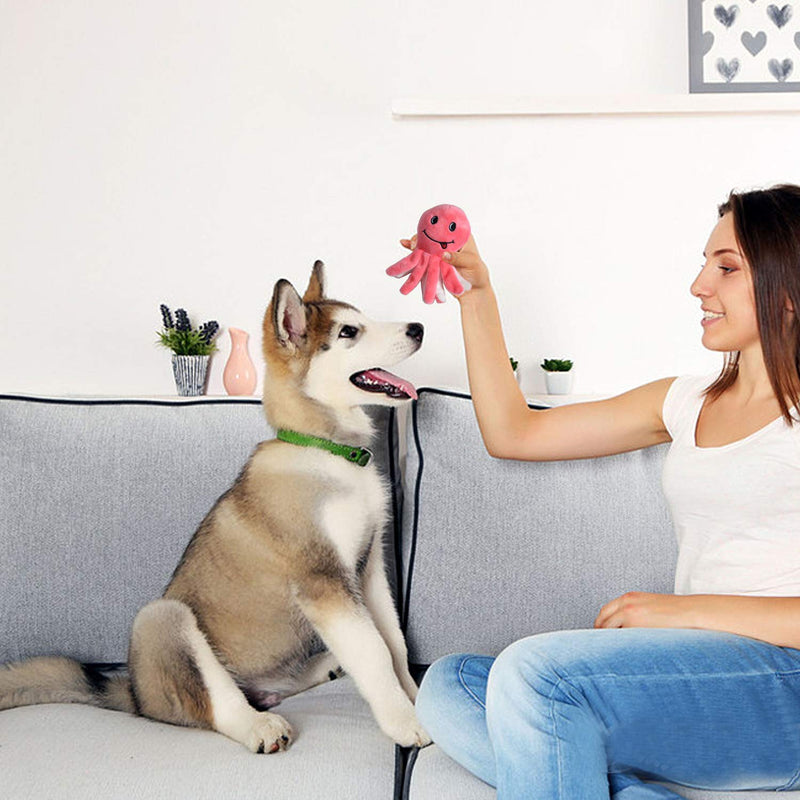 Squeaky Plush Dog Toy Pack for Puppy, Small Stuffed Puppy Chew Toys 12 Dog Toys Bulk with Squeakers, Cute Soft Pet Toy for Small Medium Size Dogs - PawsPlanet Australia