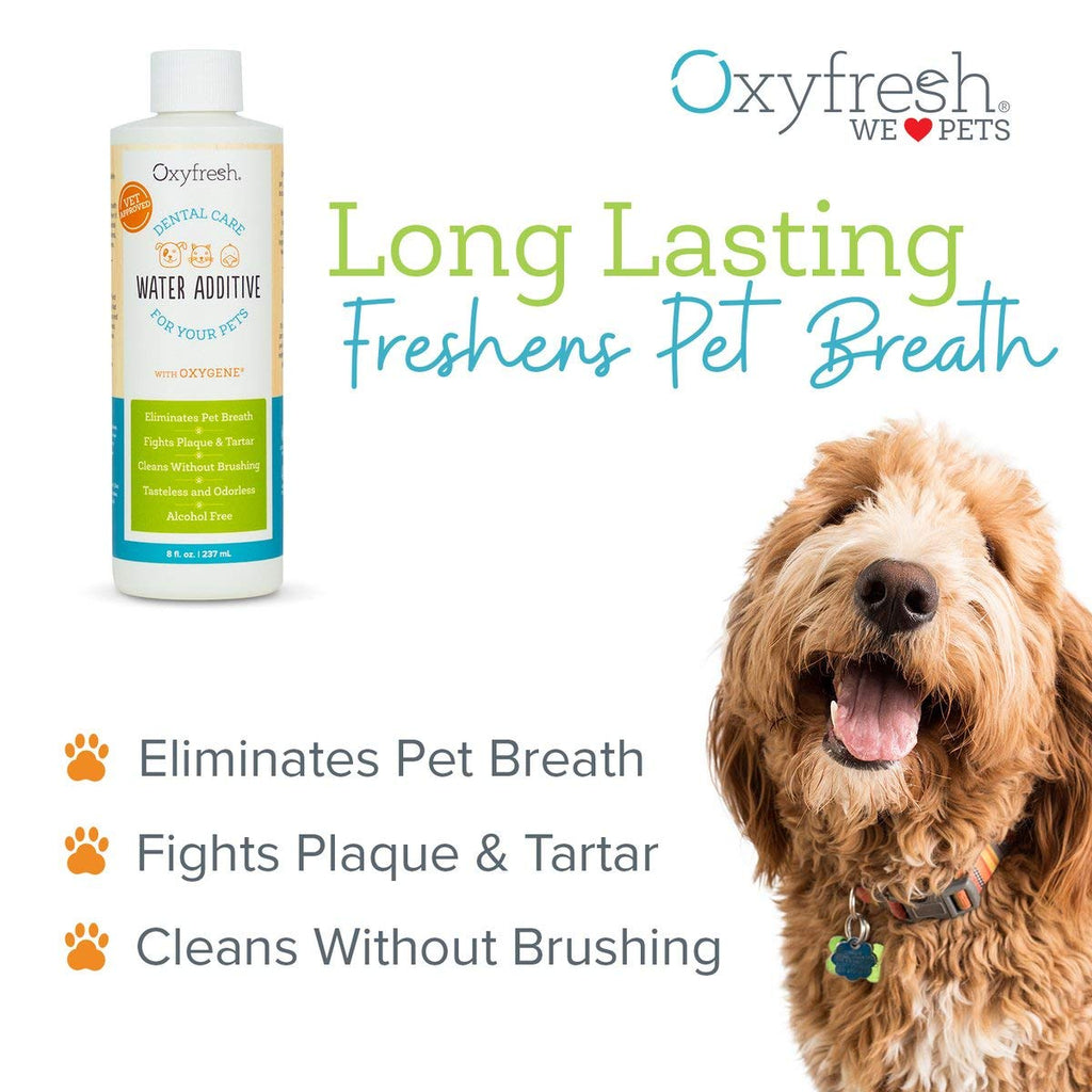 Oxyfresh Premium Pet Dental Care Solution Pet Water Additive: Best Way to Eliminate Bad Dog Breath and Cat Breath - Fights Tartar and Plaque - So Easy, Just Add to Water. Best Seller (16 oz) - PawsPlanet Australia